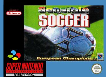 Sensible Soccer : International Edition